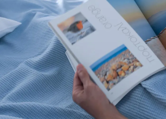 Eladia Apartamento *